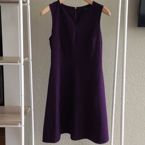 The Limited Purple Dress